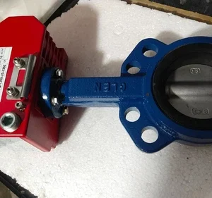 I-Tork ITQ0080 220VAC 80Nm 80mm Electric Linear Actuator Control Butterfly Valve